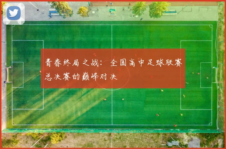 青春终局之战：全国高中足球联赛总决赛的巅峰对决